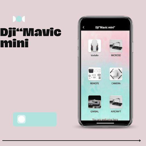 dji mavic mini2 guide Screen 2
