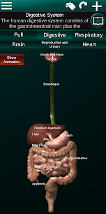 Internal Organs in 3D Anatomy For PC installation