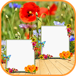 Cover Image of ダウンロード Nature Dual Frames Editor  APK