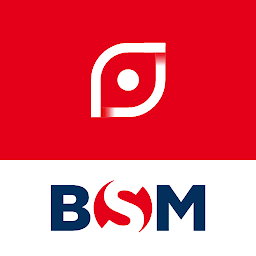 BSM IRT: Download & Review