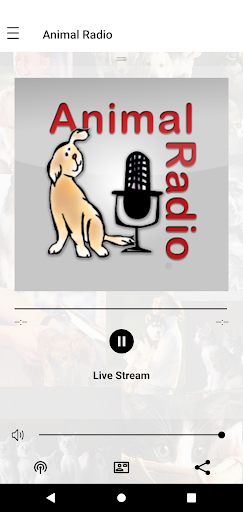 Animal Radio Screen 2