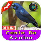 Top 32 Music & Audio Apps Like Canto De Azulão Para Encartar - Best Alternatives