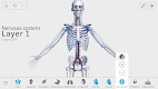 screenshot of Visual Anatomy 3D - Human body