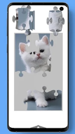 Game screenshot Пазлы для взрослых apk download