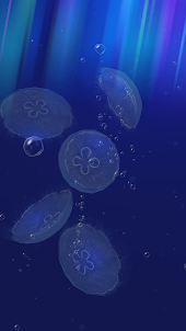 Jellyfish - Appreciation