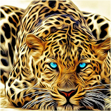 Cheetah Wallpapers -Fancy Free icon