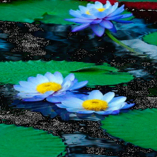 Nature Lotus Live Wallpaper Header - AppWisp.com