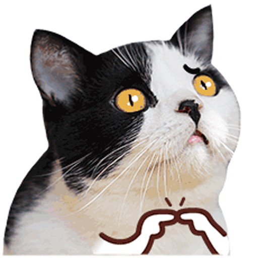 Stickers Memes Gatos Animados logo