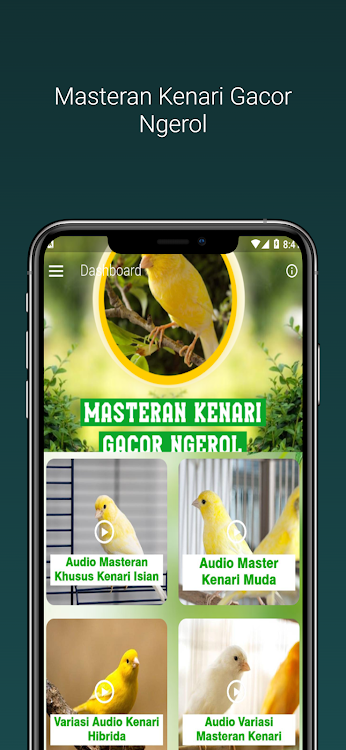 Masteran Kenari Gacor Ngerol - 2.9.3 - (Android)
