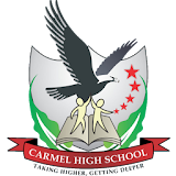 Carmel High School, Thane icon