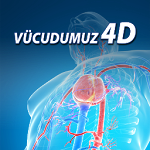 Cover Image of Herunterladen Vücudumuz 4D  APK