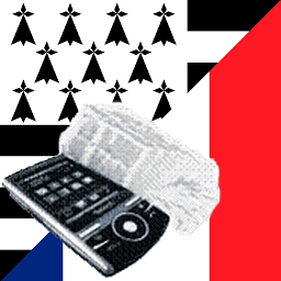 Icon image French Breton Dictionary