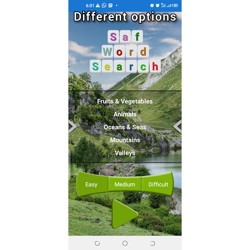 Saf Word Search Screen 2