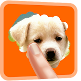 Scratch And Guess Animals icon