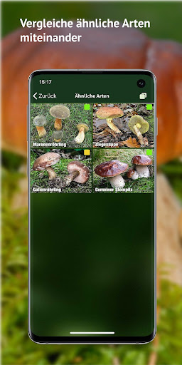 PilzSnap - Pilze sammeln