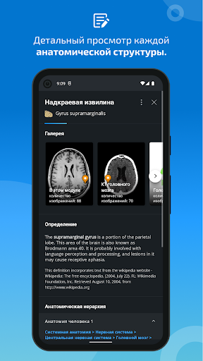IMAIOS e-Anatomy Скриншот Приложения для Android 5