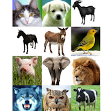 Animals Sounds icon