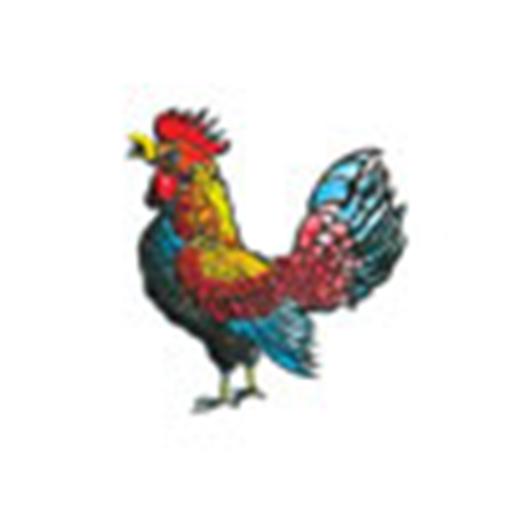 Podravski Radio logo