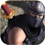 RPG Ninja Quest 3D icon