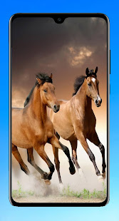 Horse Wallpaper 4K 1.05 APK screenshots 5