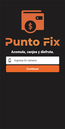 Punto Fix Screen 3