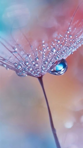 Water Drop Screen 3