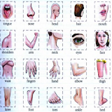 Learn Body Parts in English icon