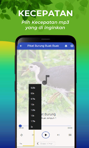 Suara Ruak Ruak Pikat Lengkap