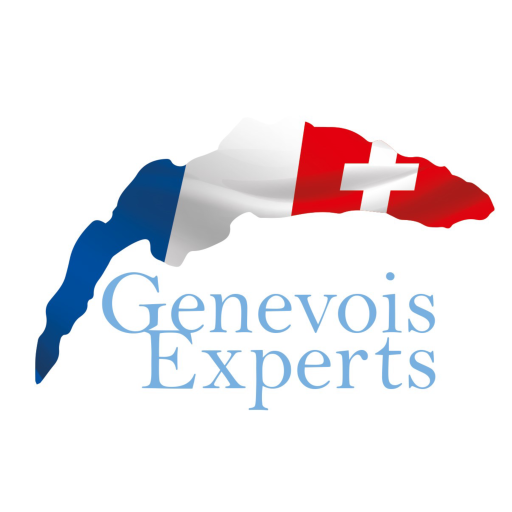 Genevois Experts logo