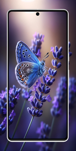 Screenshot of Cool Butterfly Wallpapers 4K