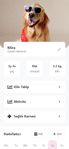 PetPost Screen 2