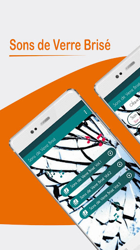 Aperçu de l'application