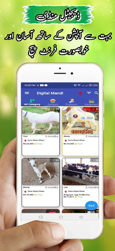 Android application Digital Mandi (ڈیجیٹل منڈی) screenshort