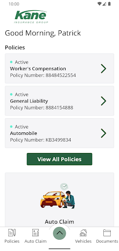 Kane Insurance Group Online Screen 2