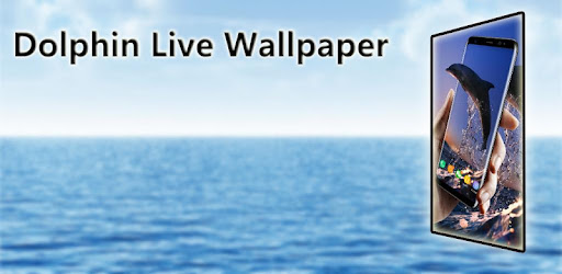 Lovely Dolphin Live Wallpaper
