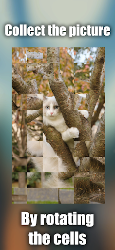 Android application Collect the picture - Mosaic screenshort