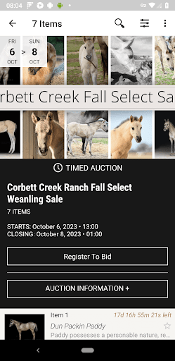Corbett Creek Ranch Auction Screen 2