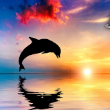 Dolphins Jigsaw Puzzle Game icon