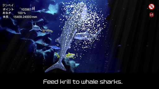 Whale shark that grows calmly Screen 2