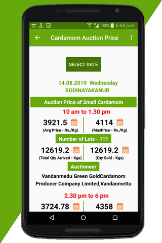 Cardamom Auction Prices