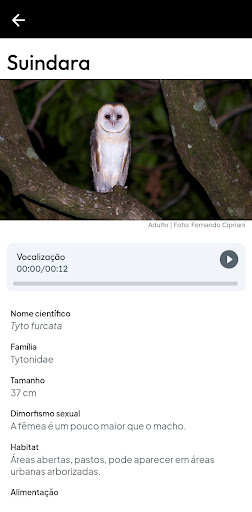 Guia de Aves da Reg Bragantina screenshot 4