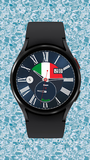 Bandiera nazionale screenshot 6