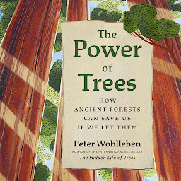 Icon image The Power of Trees: How Ancient Forests Can Save Us if We Let Them