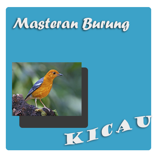 Masteran Burung Kicau - AppWisp.com