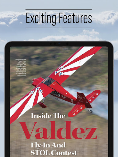 Plane & Pilot Screen 2