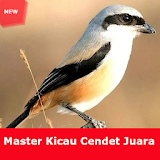 Master Kicau Cendet Juara Full icon