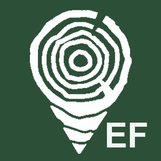 TimberData EF logo