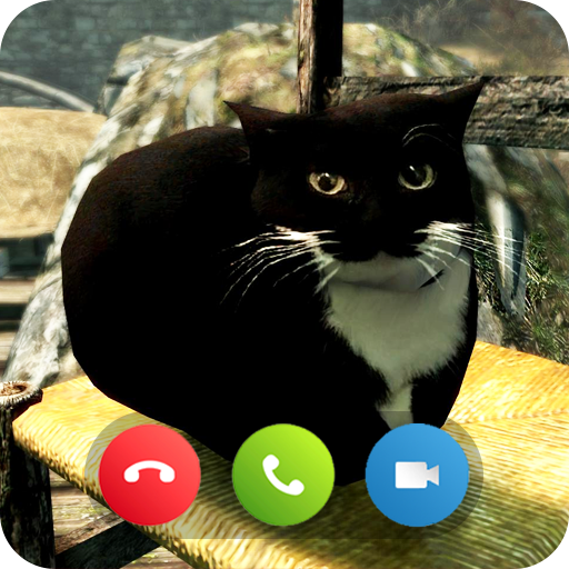 Maxwell Cat Funny Video Call Download on Windows