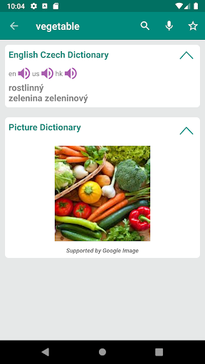 Czech English Dictionary Screen 2
