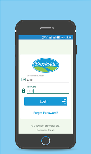 Online Sales Order Screen 2